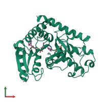 PDB entry 1b8u coloured by chain, front view.