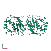 Homo dimeric assembly 2 of PDB entry 1b8y coloured by chemically distinct molecules, front view.