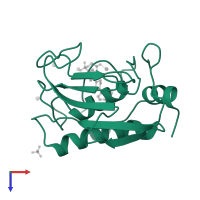 Stromelysin-1 in PDB entry 1b8y, assembly 1, top view.