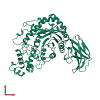 Monomeric assembly 1 of PDB entry 1b90 coloured by chemically distinct molecules, front view.