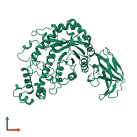 Beta-amylase in PDB entry 1b90, assembly 1, front view.