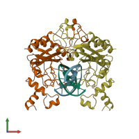 PDB entry 1b96 coloured by chain, front view.