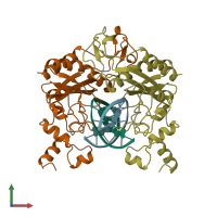 PDB entry 1b97 coloured by chain, front view.