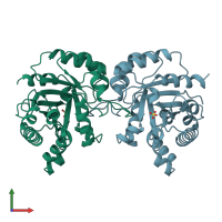 PDB entry 1b9b coloured by chain, front view.