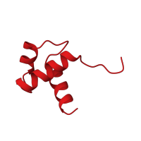 The deposited structure of PDB entry 1ba5 contains 1 copy of CATH domain 1.10.10.60 (Arc Repressor Mutant, subunit A) in Telomeric repeat-binding factor 1. Showing 1 copy in chain A.