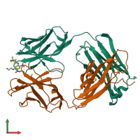 PDB entry 1baf coloured by chain, front view.