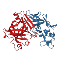 The deposited structure of PDB entry 1bbs contains 4 copies of CATH domain 2.40.70.10 (Cathepsin D, subunit A; domain 1) in Renin. Showing 2 copies in chain A.