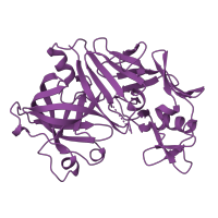 The deposited structure of PDB entry 1bbs contains 2 copies of SCOP domain 50646 (Pepsin-like) in Renin. Showing 1 copy in chain A.