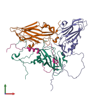 PDB entry 1bbt coloured by chain, front view.