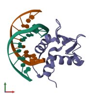 PDB entry 1bc7 coloured by chain, front view.