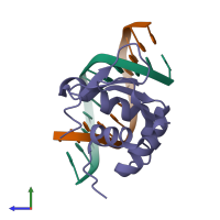 PDB entry 1bc7 coloured by chain, side view.