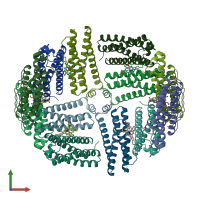 PDB entry 1bcf coloured by chain, front view.
