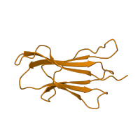 The deposited structure of PDB entry 1bd2 contains 1 copy of SCOP domain 48942 (C1 set domains (antibody constant domain-like)) in Beta-2-microglobulin. Showing 1 copy in chain B.