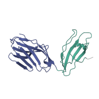 The deposited structure of PDB entry 1bd2 contains 2 copies of CATH domain 2.60.40.10 (Immunoglobulin-like) in T cell receptor alpha chain constant. Showing 2 copies in chain D.