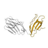 The deposited structure of PDB entry 1bd2 contains 1 copy of SCOP domain 48942 (C1 set domains (antibody constant domain-like)) in T cell receptor alpha chain constant. Showing 1 copy in chain D.