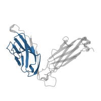 The deposited structure of PDB entry 1bd2 contains 1 copy of Pfam domain PF07686 (Immunoglobulin V-set domain) in T cell receptor beta constant 2. Showing 1 copy in chain E.