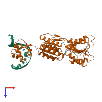 PDB entry 1bdh coloured by chain, top view.