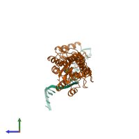 PDB entry 1bdi coloured by chain, side view.