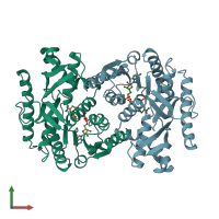PDB entry 1bdm coloured by chain, front view.
