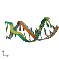 PDB entry 1bdn coloured by chain, front view.