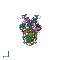 PDB entry 1bdt coloured by chain, side view.