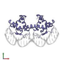 Transcriptional repressor arc in PDB entry 1bdt, assembly 1, front view.