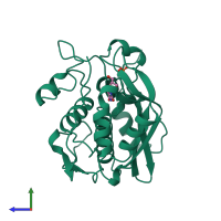 PDB entry 1bdu coloured by chain, side view.