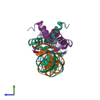 PDB entry 1bdv coloured by chain, side view.