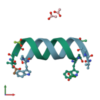 PDB entry 1bdw coloured by chain, front view.