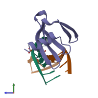 PDB entry 1bf4 coloured by chain, side view.