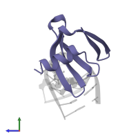 DNA-binding protein 7d in PDB entry 1bf4, assembly 1, side view.