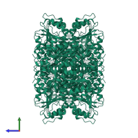 Benzoylformate decarboxylase in PDB entry 1bfd, assembly 1, side view.