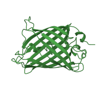 The deposited structure of PDB entry 1bfp contains 1 copy of SCOP domain 54512 (Fluorescent proteins) in Green fluorescent protein. Showing 1 copy in chain A.