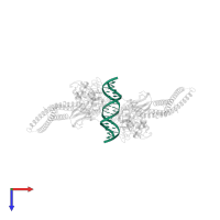 DNA (5'-D(*TP*GP*CP*AP*TP*TP*TP*CP*CP*CP*GP*TP*AP*AP*AP*TP*CP*T)-3') in PDB entry 1bg1, assembly 1, top view.