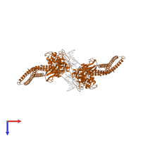 Signal transducer and activator of transcription 3 in PDB entry 1bg1, assembly 1, top view.
