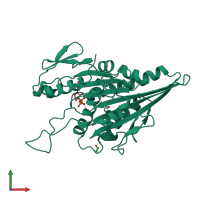 PDB entry 1bg2 coloured by chain, front view.