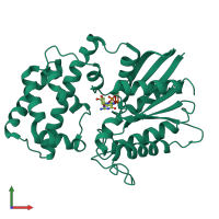 PDB entry 1bh2 coloured by chain, front view.