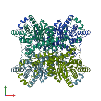 PDB entry 1bhw coloured by chain, front view.