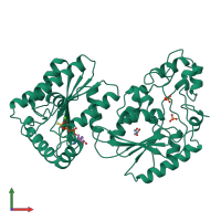 PDB entry 1bif coloured by chain, front view.
