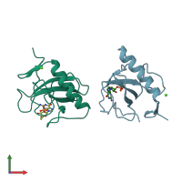 PDB entry 1bir coloured by chain, front view.