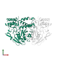 Phosphoserine aminotransferase in PDB entry 1bjo, assembly 1, front view.