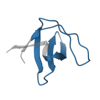The deposited structure of PDB entry 1bk2 contains 1 copy of Pfam domain PF00018 (SH3 domain) in Spectrin alpha chain, non-erythrocytic 1. Showing 1 copy in chain A.