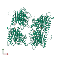 Homo tetrameric assembly 1 of PDB entry 1bk4 coloured by chemically distinct molecules, front view.