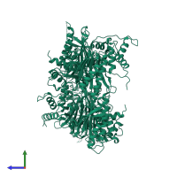 Fructose-1,6-bisphosphatase 1 in PDB entry 1bk4, assembly 1, side view.