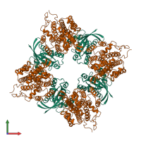 Hetero octameric assembly 1 of PDB entry 1bkd coloured by chemically distinct molecules, front view.