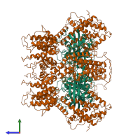 Hetero octameric assembly 1 of PDB entry 1bkd coloured by chemically distinct molecules, side view.