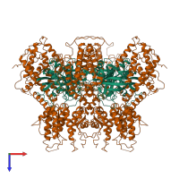 Hetero octameric assembly 1 of PDB entry 1bkd coloured by chemically distinct molecules, top view.