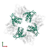 GTPase HRas, N-terminally processed in PDB entry 1bkd, assembly 1, front view.