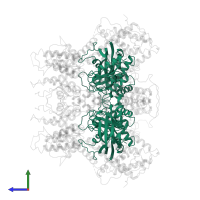 GTPase HRas, N-terminally processed in PDB entry 1bkd, assembly 1, side view.