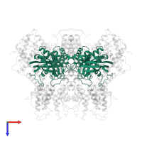 GTPase HRas, N-terminally processed in PDB entry 1bkd, assembly 1, top view.